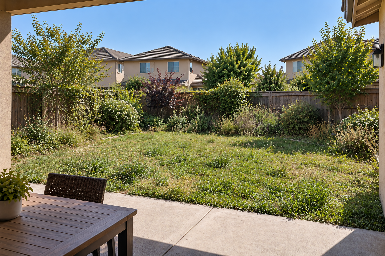 Backyard before landscaping